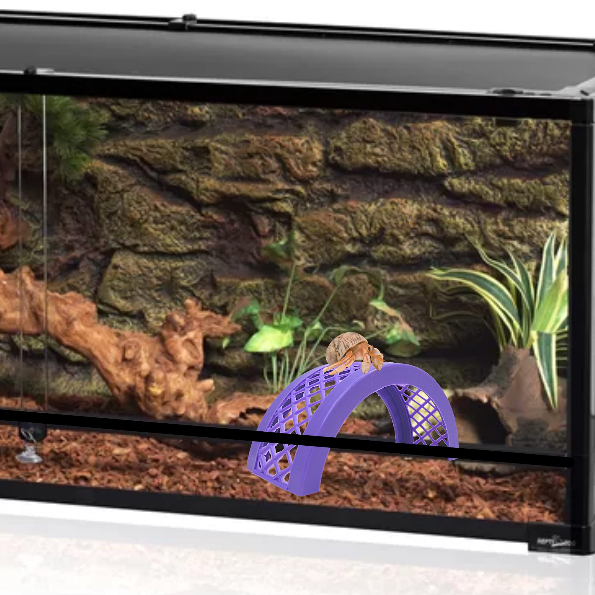 Amazon.com: Needzo DIY Hermit Crab Habitat Starter Kit with